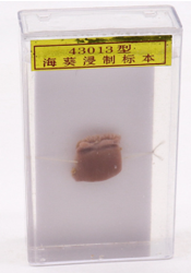 ?？麡?biāo)本